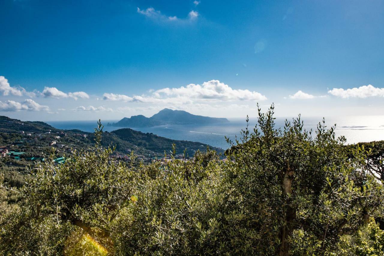 Villa Bellatrix Massa Lubrense Exteriér fotografie